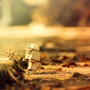 狗头上长了蘑菇