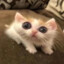 ОХАЛЕРА's avatar