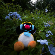 泪水打湿洋芋粑