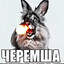 черемша