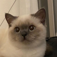 我在努力瞄准了