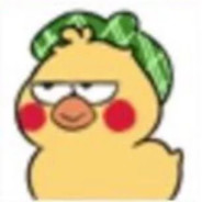 菜逼以为自己能赢啊？