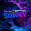 SowKy [ T S U I S O ]