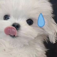 重生 重生我要迪士尼