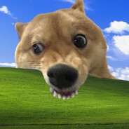 少女体香调味师