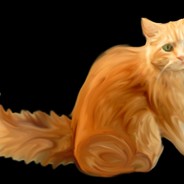 PyeCat - steam id 76561197971043916