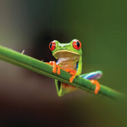 Avatar snapshot
