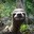 IamaSloth