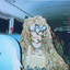 Kestrel
