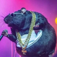 The Notorious R.A.T