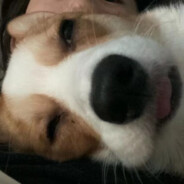 她说我是出气筒