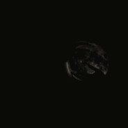 山鸟与鱼不同路 再无相思寄巫山