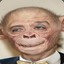 Humanzee