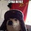 Mr. Wuf-Wuf Blyat