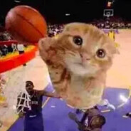 Ballincat43