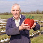 BigStrawberry