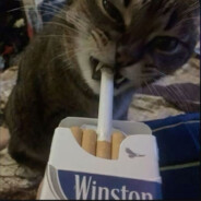 𝕱𝖑𝖊𝖚𝖗𝖓𝖔𝖙