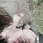 evelyn