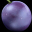 Grape