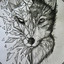 İroN_LeaD   [TR]