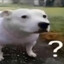 𝓡➄ᑕᗩᕵ
