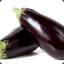 Modest Eggplant