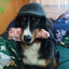 hubert1