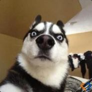 喜欢滑 送 让人站住不动