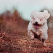 我下棋是真的nb