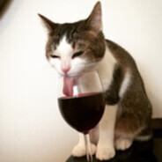 Russian Hater Grrrrrr!