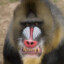 MANDRIL CARREADOR