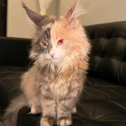 翻斗花园牛爷爷