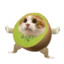 KIWI Kitty