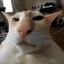 guh cat gaming