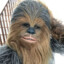 Chewbacca