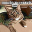 мамки.net