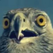 Syranide - steam id 76561197961465214