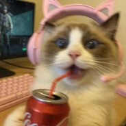 - - steam id 76561199279674153