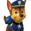 Chase da Patrulha Canina