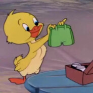 整天就是盖小被