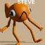 LE POISSON STEVE