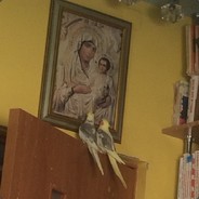 идущий к реке