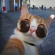 严辉村挖掘机大王