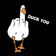 Danu D Duck Dealer