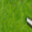 eliasandruchow avatar