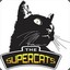 The-Super-Cats