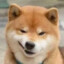 迷人太帅