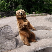 ♂ Miśu Alojzy ♂