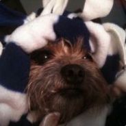 queenie roxorz - steam id 76561197965827747