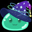 Aster Bellus